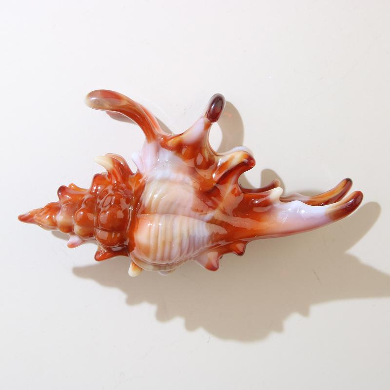 1 шт. Зажим-акула, заколка для волос в виде раскрашенной раковины, красочный аксессуар, обязательный для летних пляжных причесок