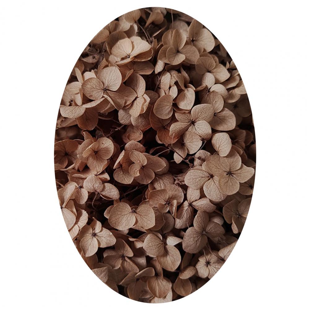 1 коробка цветных сухоцветов натуральные реалистичные головки гортензии своими руками натуральные свежие стабилизированные цветы гортензия свадебные сувениры