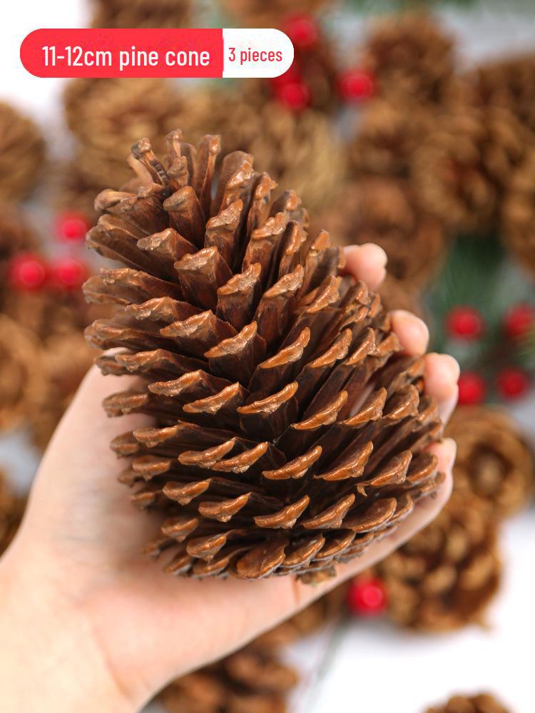 Pine Cone DIY Decoration Kit: Branch, Log, Dried Flowers for Creative Kindergarten Hanging Crafts