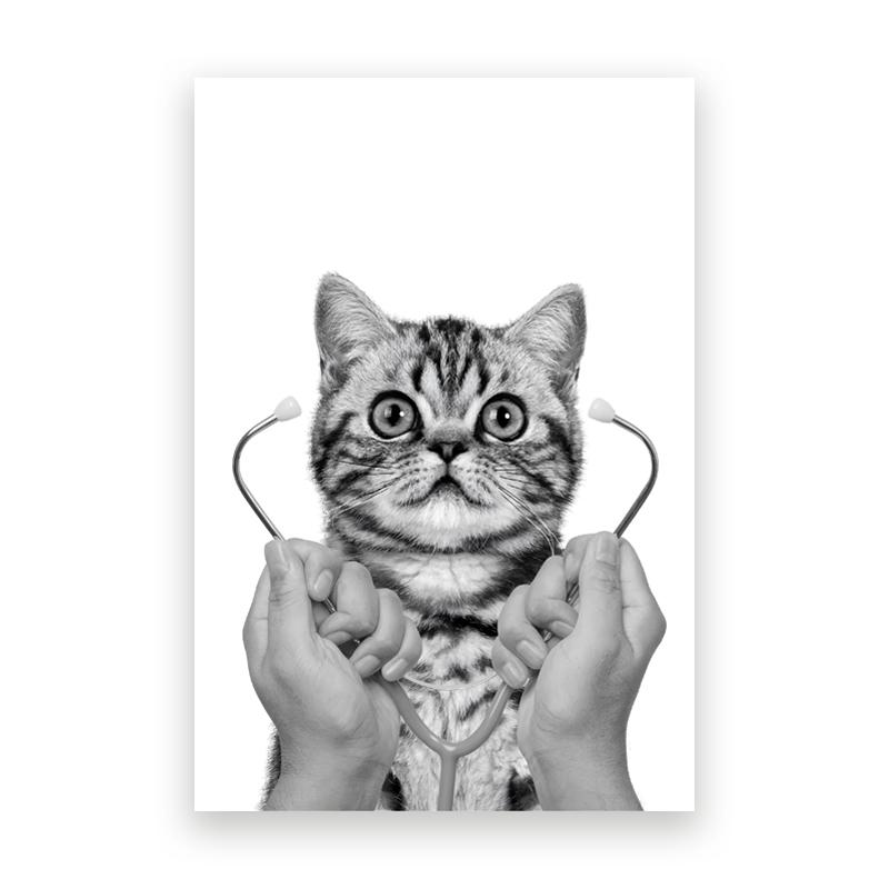 Принты с искусством ухода за питомцами, черно-белые фотографии, плакаты, живопись на холсте с кошками и собаками, настенные картины для ветеринарной клиники, декор для ветеринарного кабинета