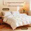 Premium 95% White Goose Down Winter Duvet