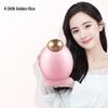 Jindao Nano Hot Mist Facial Steamer