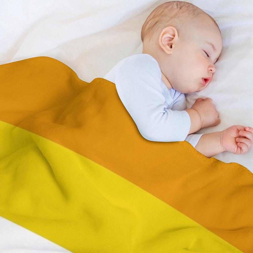 Aromantic asexual flag Throw Blanket Cozy Throw Blanket Birthday Gift for Him Her