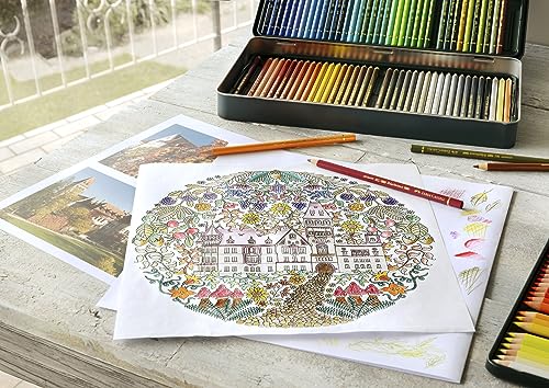 Faber-Castell Набор цветных карандашей Polychromos, 120 цветов, жестяная коробка, 110011 [Официальный японский продукт]