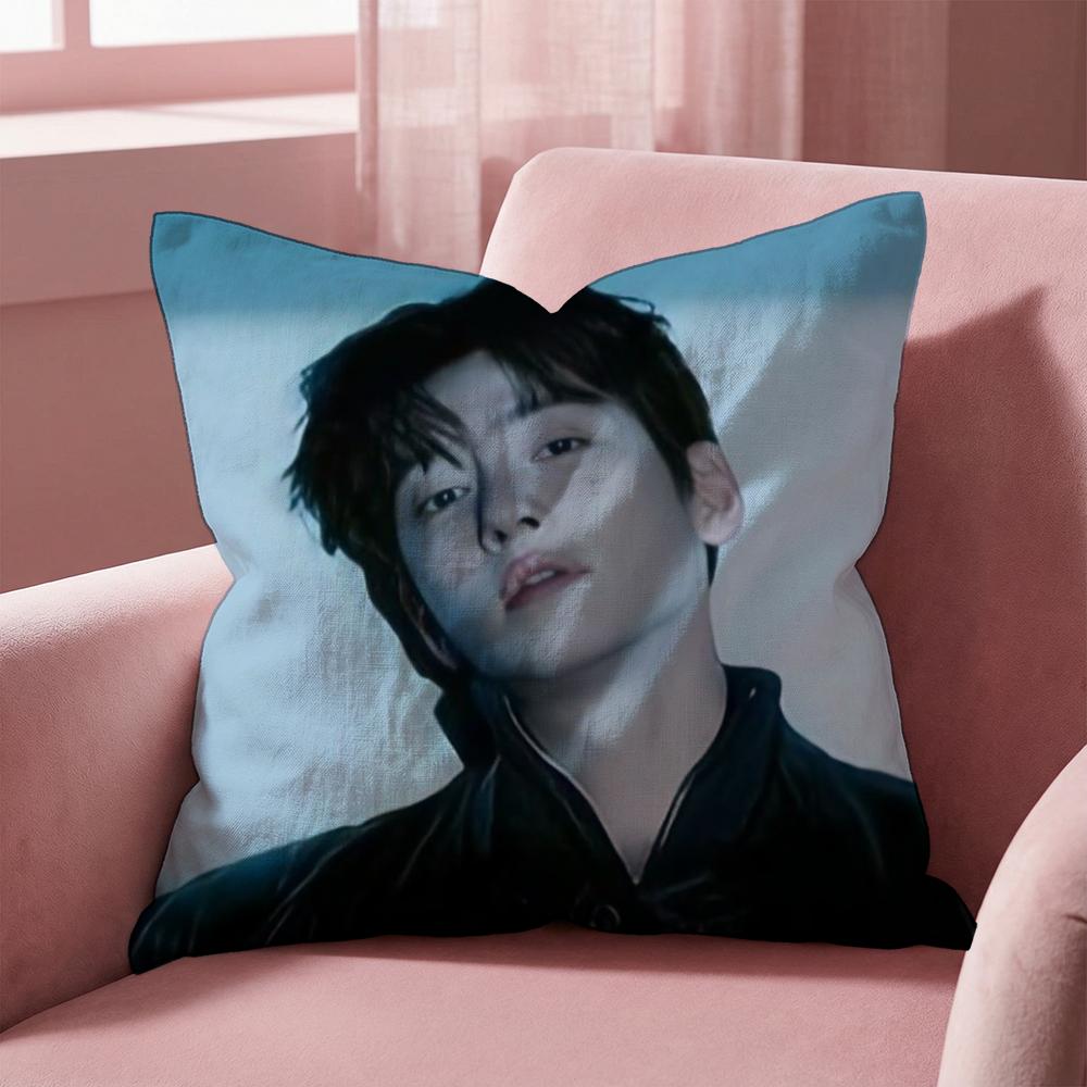 Чехол для подушки J-Ji C-Chang Wook, многоцелевой чехол для подушки для дома и автомобиля - Двусторонний, мягкий и прочный для ежедневного использования