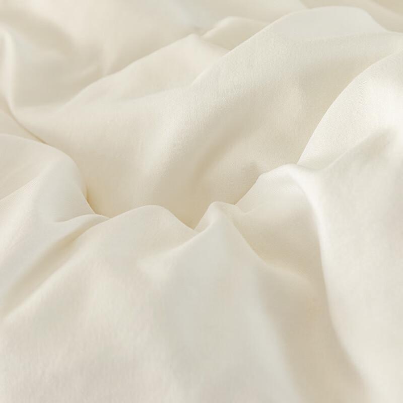 Snoopy Soybean Four Seasons Quilt