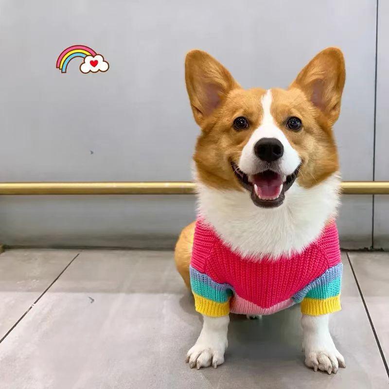 Одежда для собак Corgi, свитер для домашних животных Rainbow, для маленьких и средних собак, для бишонов, сиба-ину, Fadou, теплая зима