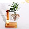Гидропонная ваза для настольного террариума для растений, ваза для посадки растений в воду, кашпо для размножения растений с домашним садом