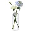 ComSaf Glass Vase, Transparent, Stylish, Scandinavian Design, Perfect for Living Rooms, Bedrooms, and Offices, Ideal for Hydroponics, Arranged Flowers