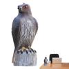 Отпугиватель птиц Чучело орла Пластиковый контроль вредителей Имитация птицы Отпугиватель Уличный Патио Двор