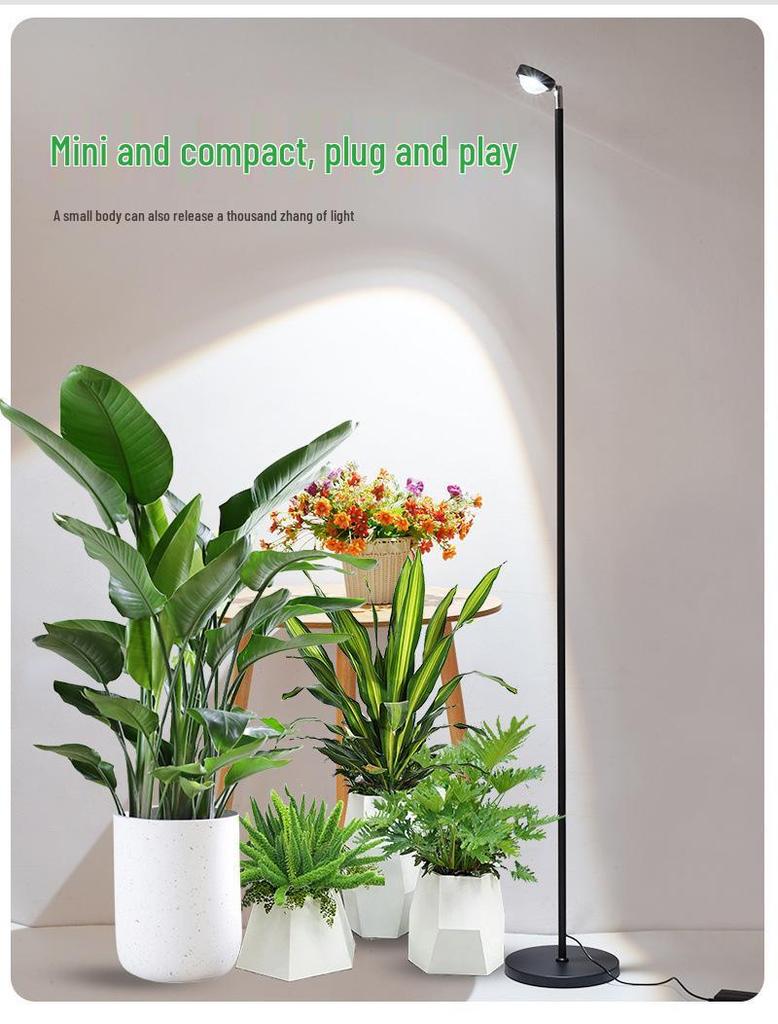 Full Spectrum Indoor Grow Light - Professional Floor Standing LED for Plants, Succulents, and Flowers