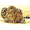 Panther Animal DIY Digital Painting By Numbers Modern Wall Art Canvas Painting Unique Gift Home Decor 40x50cm
