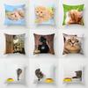 Home Decor Witchcraft Cat Stealing  Cushion Cover Cute  Sofa Car Decoration 45x45cm Pillowcase Square Polyester