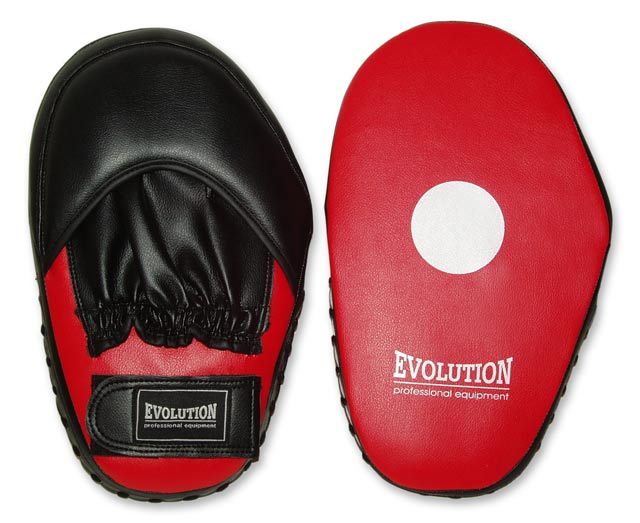 Evolution large leather trainer paw