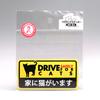 There is a Cat in the House Dash Cam Style Safe Driving Magnetic Sticker Weather and Resistant
