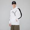 Puma Мужской пуловер с капюшоном