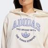 adidas Оригиналы Vrct с буквенным логотипом и вышивкой, свободная толстовка с длинными рукавами, женская толстовка с капюшоном, бежевая, IR6035