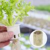 50PCS Hydroponic Substrate Rock Wool Plug Garden Sponge Nursery Block  Plant Propagation