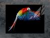 Glass stovetop protector 70x52 Parrot