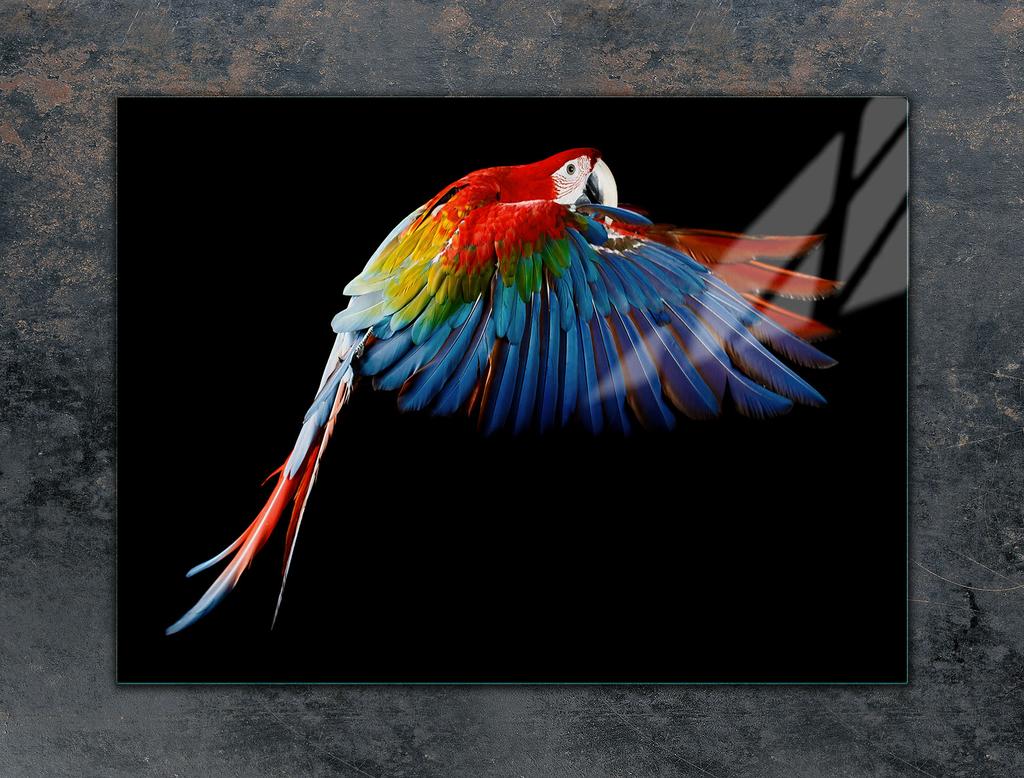 Glass stovetop protector 70x52 Parrot