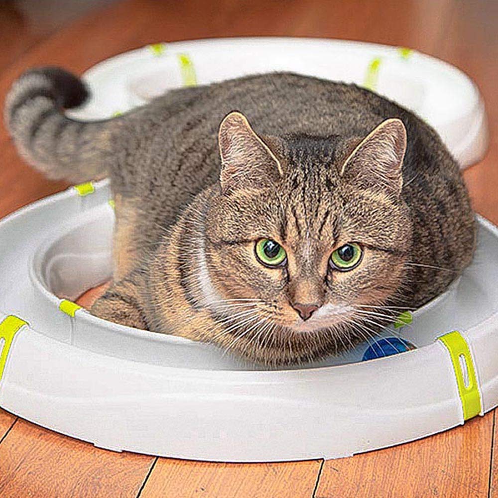 Farplast Cat Toy Typhoon Circuit Cat Игрушка для кошек Мяч