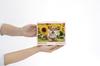 [Made in Japan] Beverly 300-Piece Jigsaw Puzzle: Sunflowers and Me (26 x 38 cm) 300-064