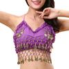 Tassel Sequin Nightclub Performance Top Show Costumes Belly Dance Bra Halter Bra