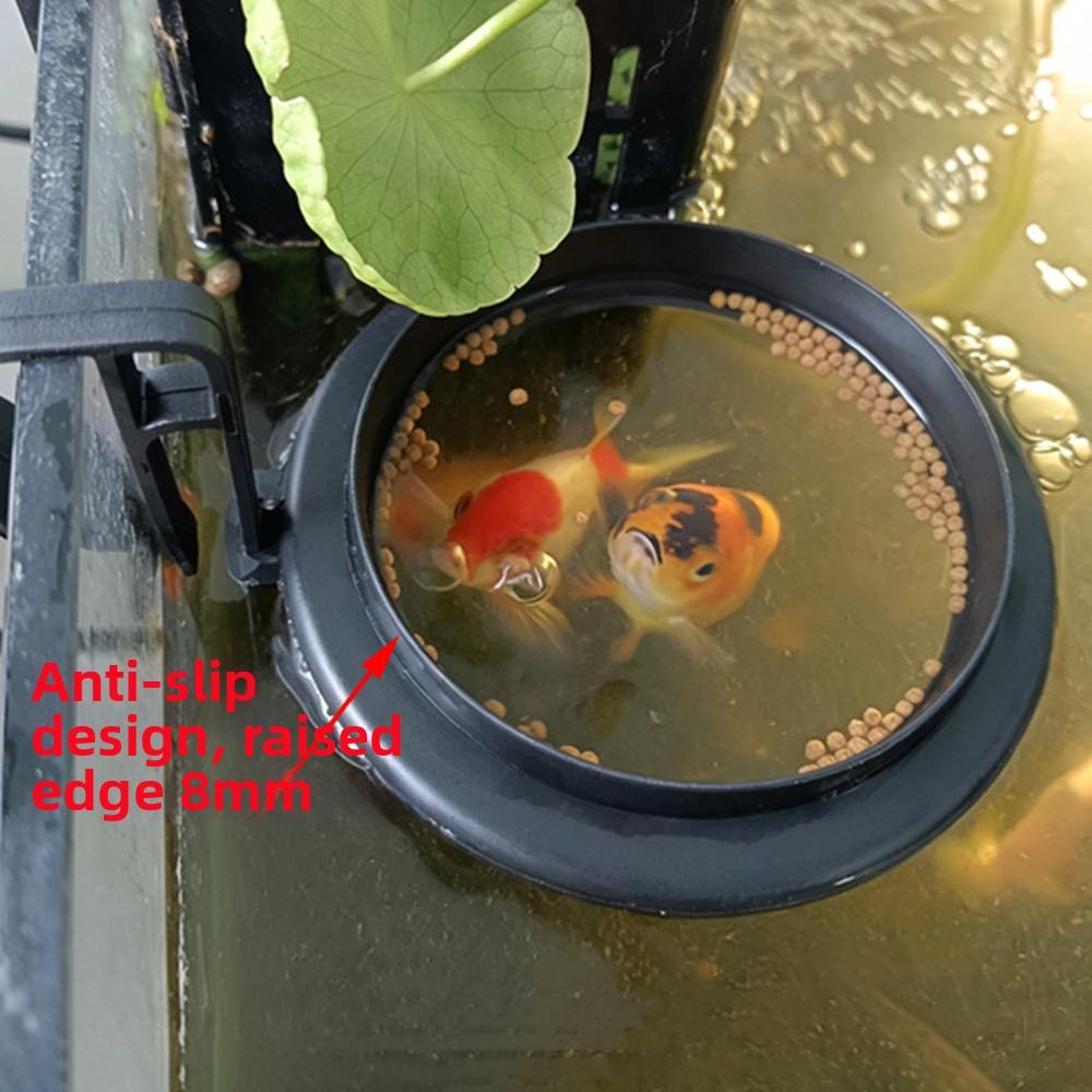 Circle Aquarium Feeding Ring Auto Float Up Fish Feeders Floating Fish Food Feeder Ring Fish Tank
