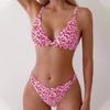 2025 European & American Print Bikini Swimsuit - Women's Sexy Beachwear