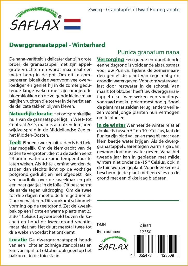 SAFLAX Карликовый гранат - 50 семян - С горшечным субстратом для лучшего выращивания - Punica granatum nana