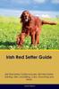 Книга Irish Red Setter Guide Irish Red Setter Guide Includes : Irish Red Setter Training, Diet, Socializing, Care, Grooming, and More