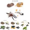 Набор моделей животных ПВХ Коллекционные Насекомое Птица Рептилия Амфибия Для Образования И Демонстрации
