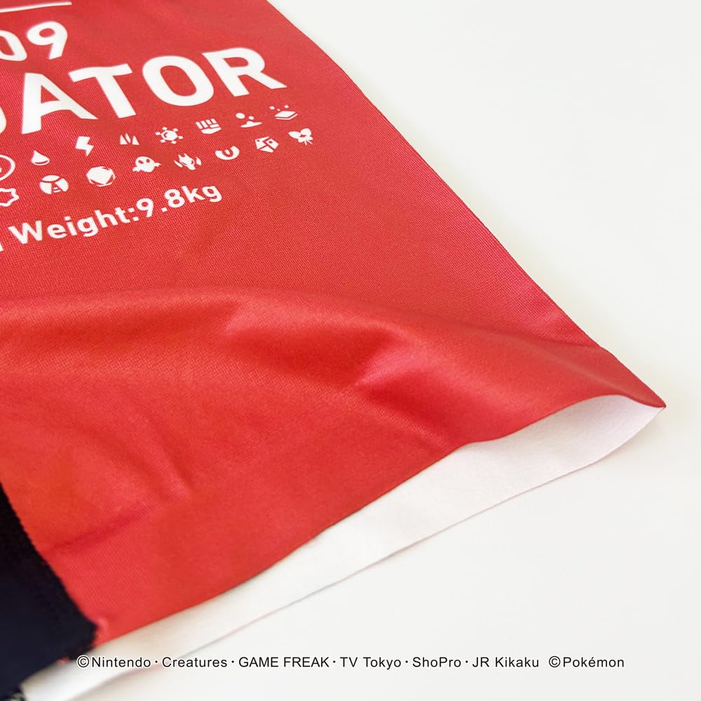 Нижнее белье Покемон Хогта [Hip Shop]