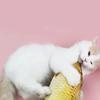 Имитация рыбы, игрушка для кошек, плюшевая имитация рыбы с кошачьей мятой, плюшевая игрушка для кошек, дразнящая рыба для кошек, имитация рыбы, товары для кошек, игрушки для домашних животных