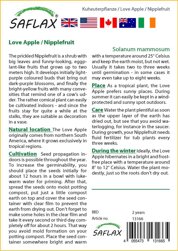 SAFLAX Love Apple / Nipplefruit - 10 семян - Solanum mammosum