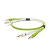 NEO by OYAIDE Elec D+ TRS Class B 1.0m Line Cable