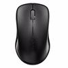 Rapoo 1620 Wireless Mouse