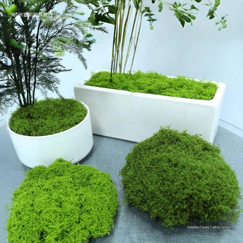 Artificial Moss Turf and Rockery Stones for Horticulture, Landscaping, and Bonsai Decor