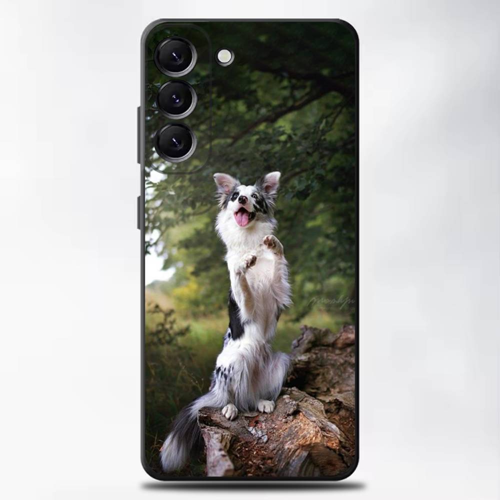 Border Collie Dog Phone Case For Samsung Galaxy A13,A21s,A22,A31,A32,A52,A53,A71,A80,Soft Black Shell