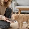 Wide Mouth Cat Food Bowls Anti-Tip Dog Food Dish Stainless Steel Dog Bowl  Pet Drinking Feeding