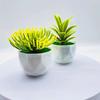 Привлекательное моделирование горшечных растений, долговечное, 2 цвета, устойчивое к ультрафиолетовому излучению.