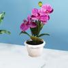 Искусственное растение в горшке Реалистичная имитация цветка Яркий цвет Искусственная орхидея-бабочка Бонсай