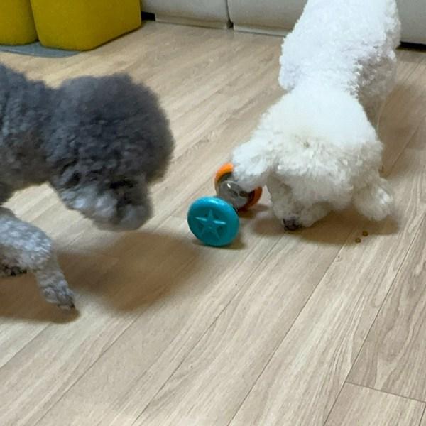 Игрушка для собак Doggie Norit Puppy Nose Work Sniff Sniff Ball, 2 шт.