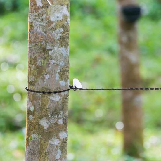 Растягивающаяся бельевая веревка на присосках, хорошая грузоподъемность, высокая эластичность, дорожная бельевая веревка, для улицы
