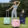 Bingyue Portable Folding Shopping Cart