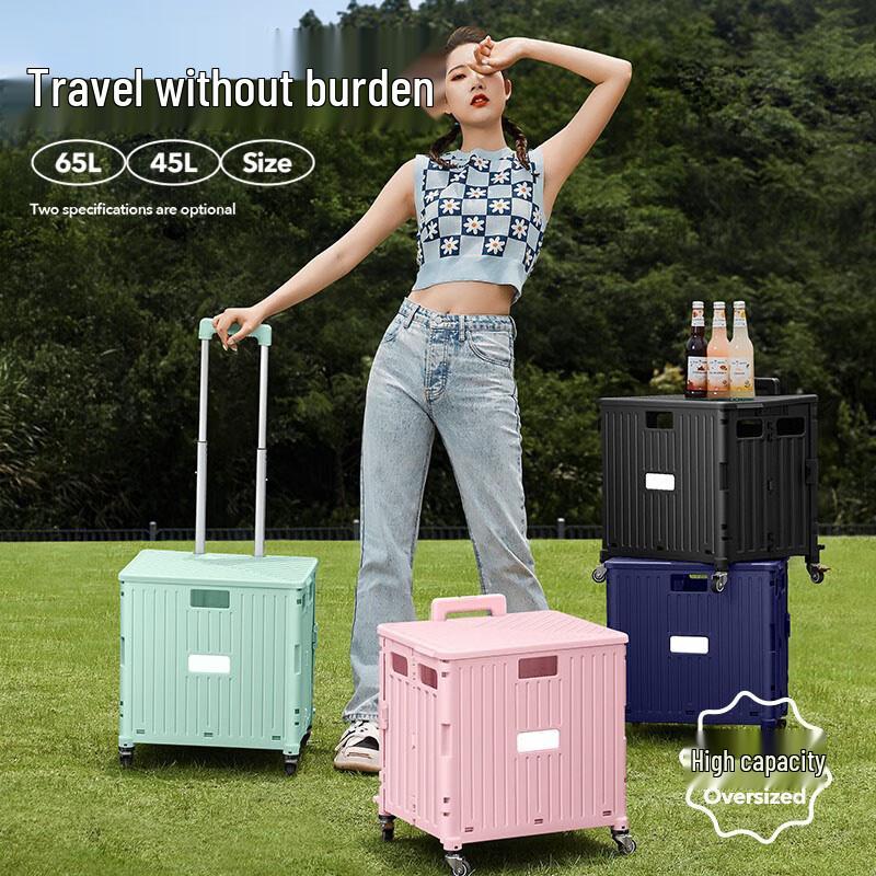 Bingyue Portable Folding Shopping Cart