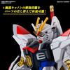 HG Mobile Suit Gundam SEED FREEDOM Mighty Strike Freedom Gundam масштаб 1/144 цветная пластиковая модель