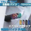 SAWAKAKI Air Valve Cap for Automobile Bike Tire Valve Air Cap Titanium Alloy Dress