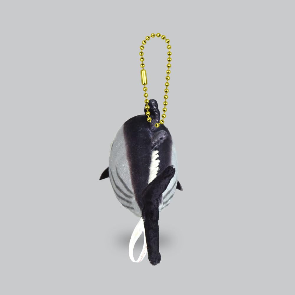 Amuse Ocean World Bonito LMC Black 704337