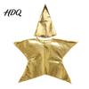 Conical Hat Star Costume Set Silver/Gold Nativity for Kids Christmas Scene Festival Shape Cosplay Outfits Sunday School Church Supply Shiny